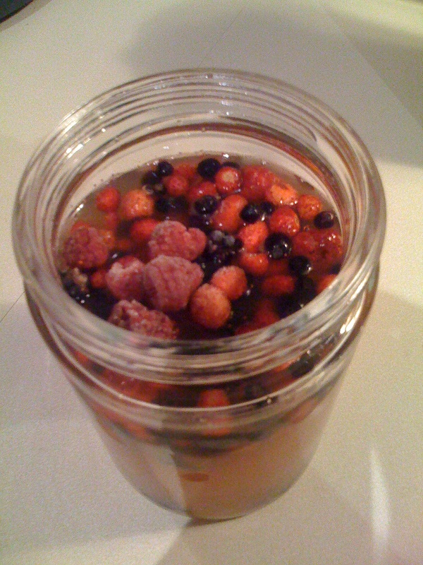 Water Kefir Stage 2 Flavor - frozen berries added